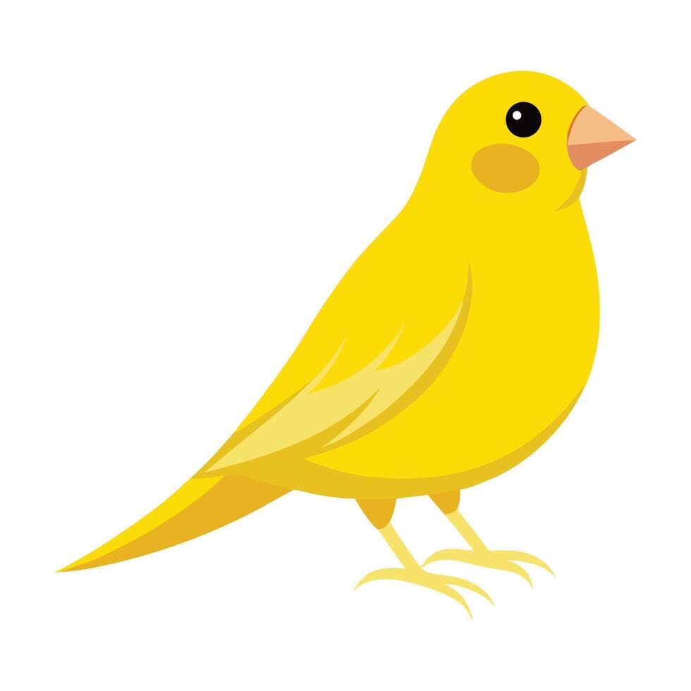 Illustration of Canary bird isolated on white vector
