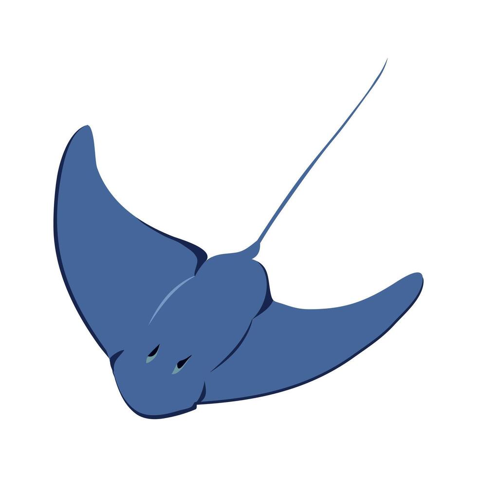 mantarraya which translates as manta ray or Manta alfredi clipart isolated on white background vector