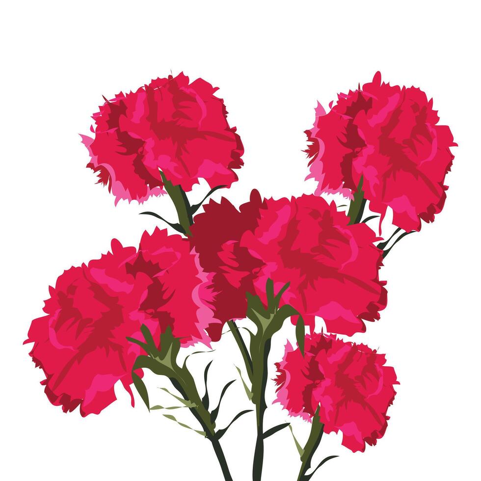 claveles which translates as Carnation flower vector