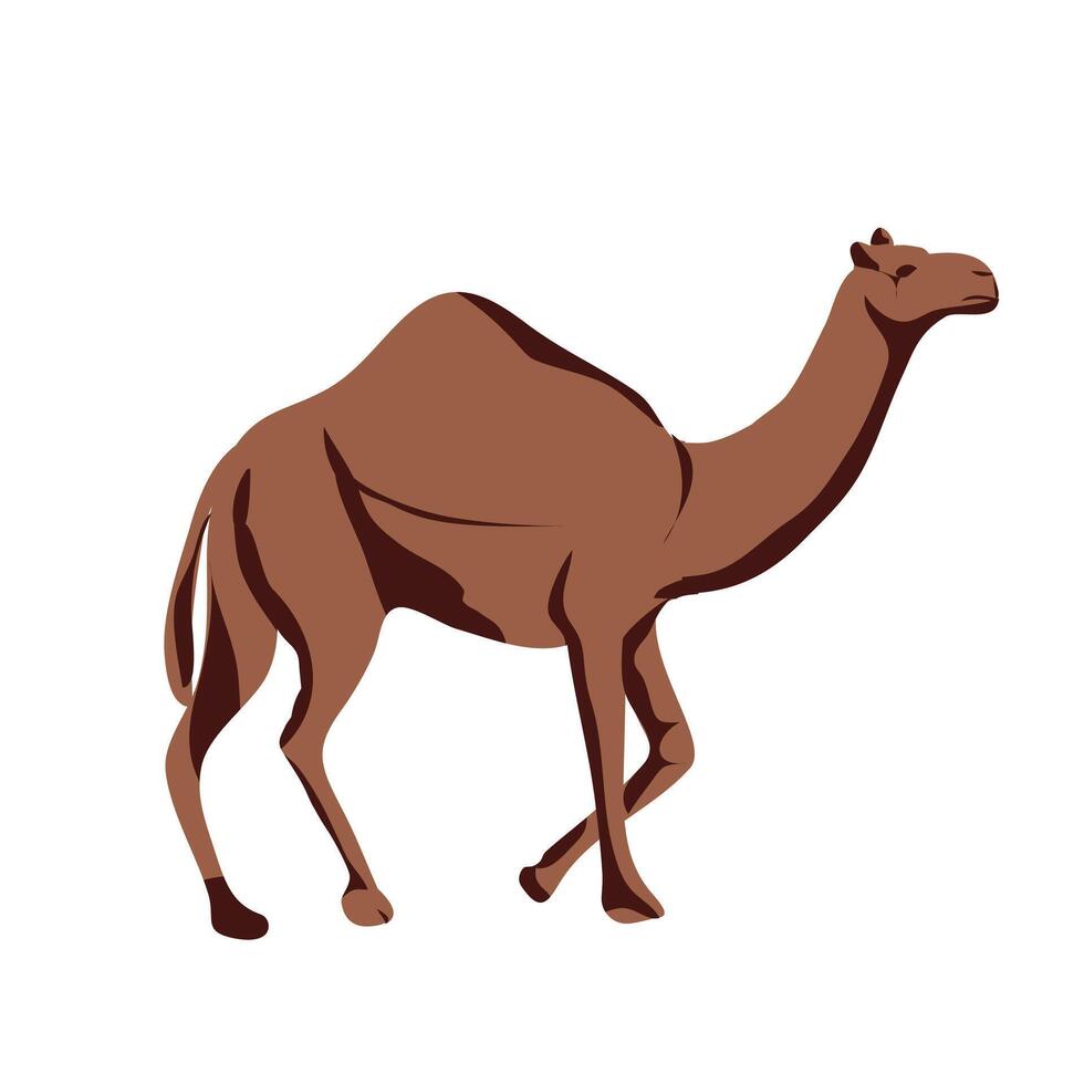 camello animal translated as camel in brown color vector