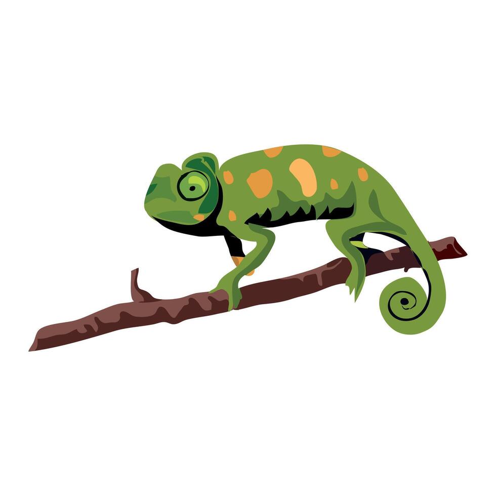 indian chameleon on a branch vector