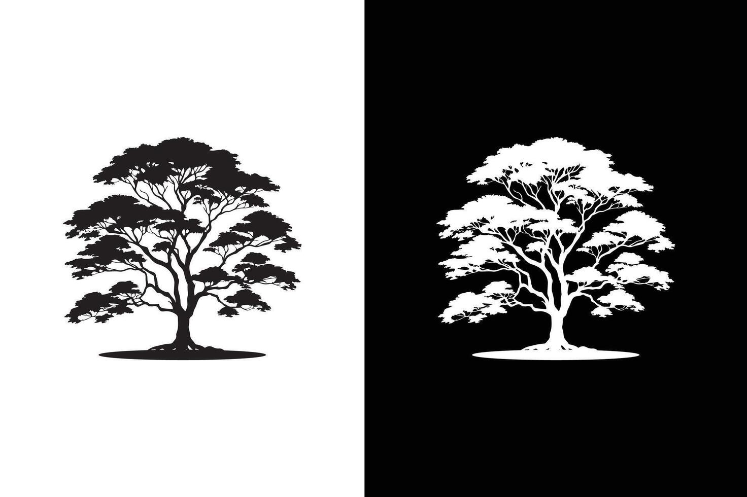 Tree with leaves. Isolated tree icon silhouette on white black background vector