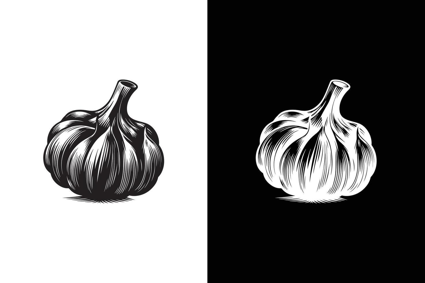 Garlic logo Isolated garlic on white black background. Garlic icon silhouette Simple illustration. vector