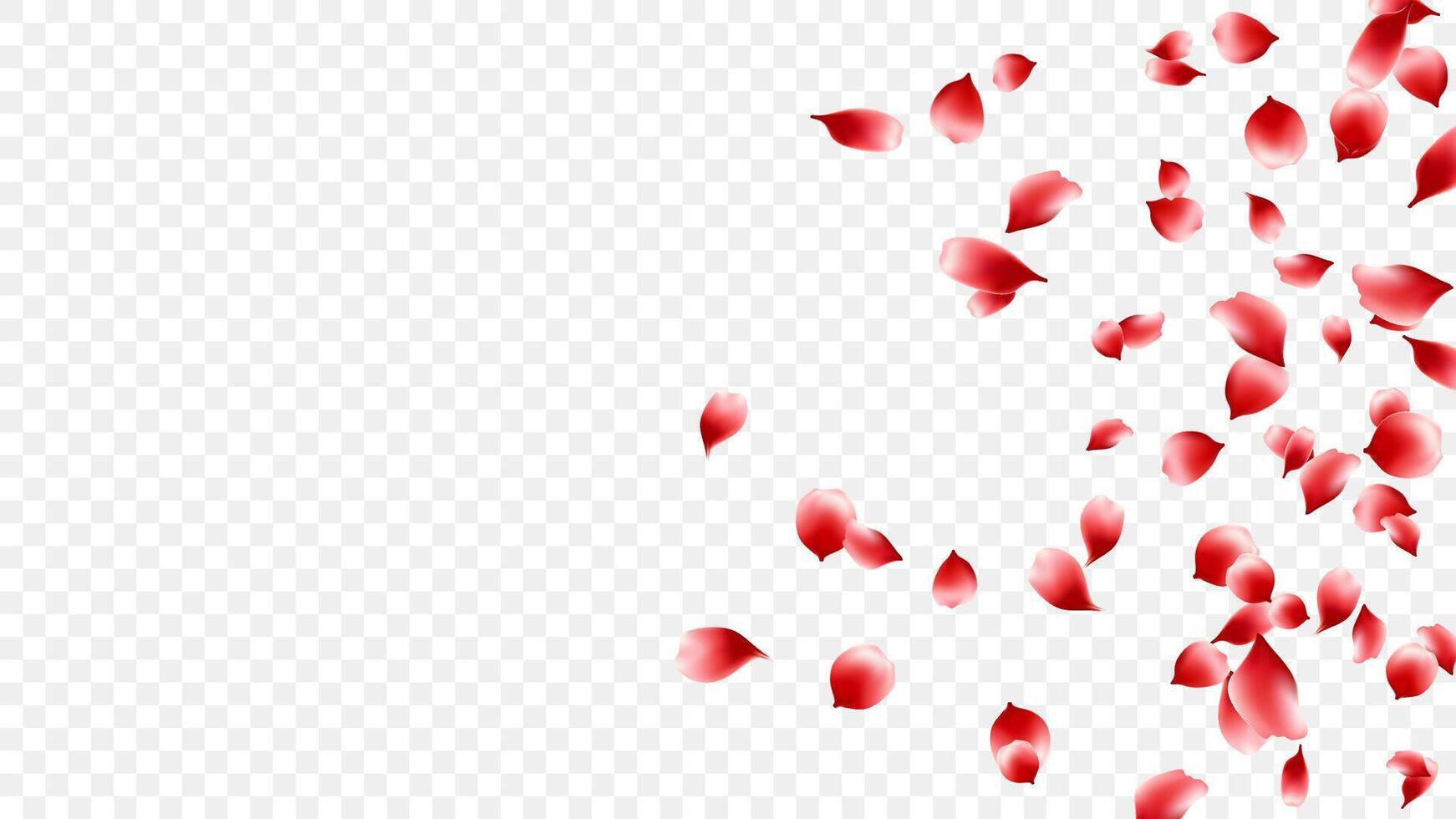 romantic red rose petals realistic illustration for Valentine Day, wedding, and celebration vector