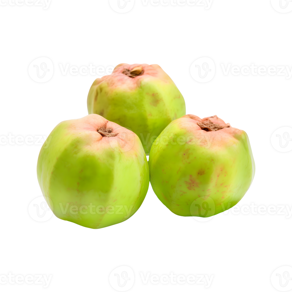Guava fruit isolated on transparent background png