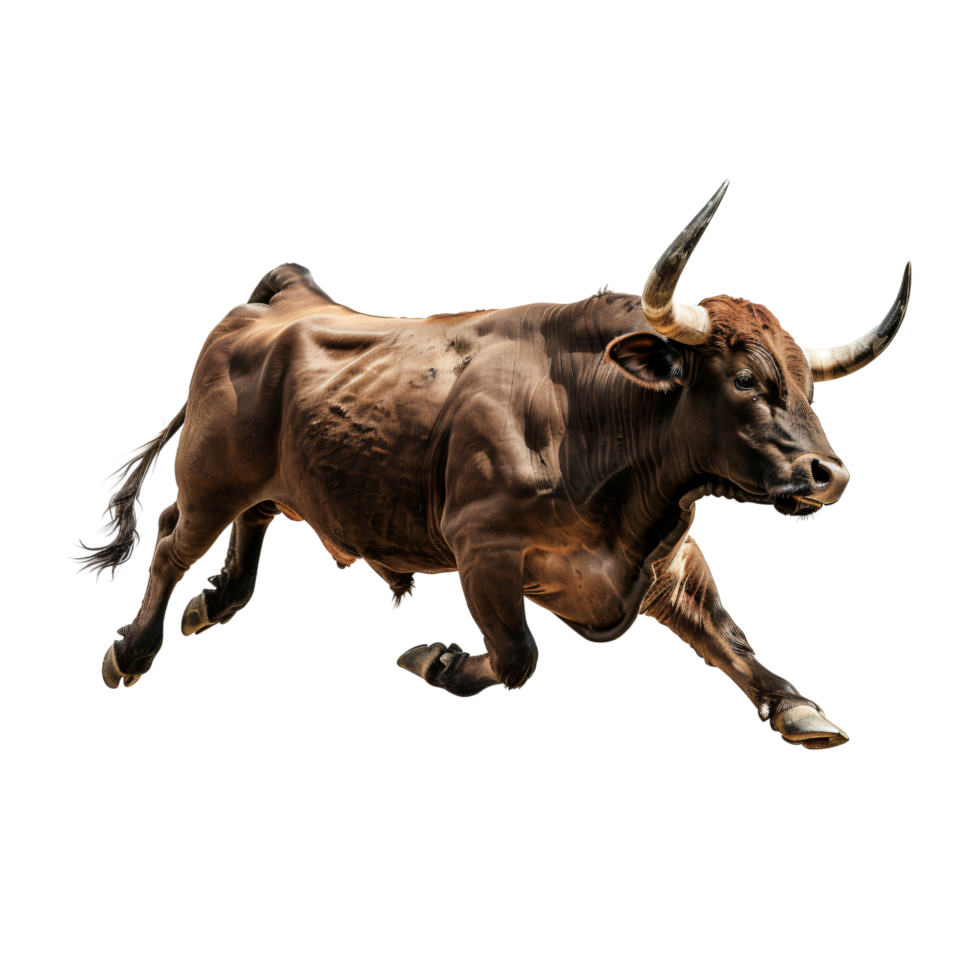 Angry bull charging running stock market trading isolated on transparent background png