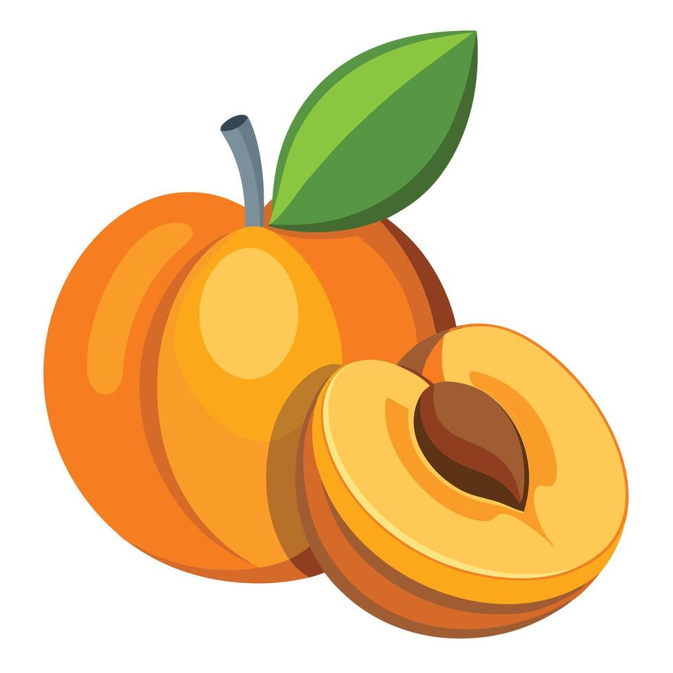 An orange fruit with a leaf on it and a half eaten peach vector