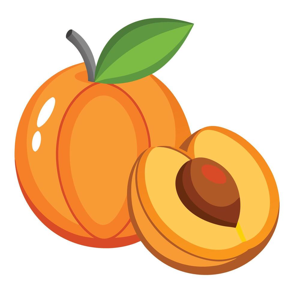 An orange and a half eaten peach vector