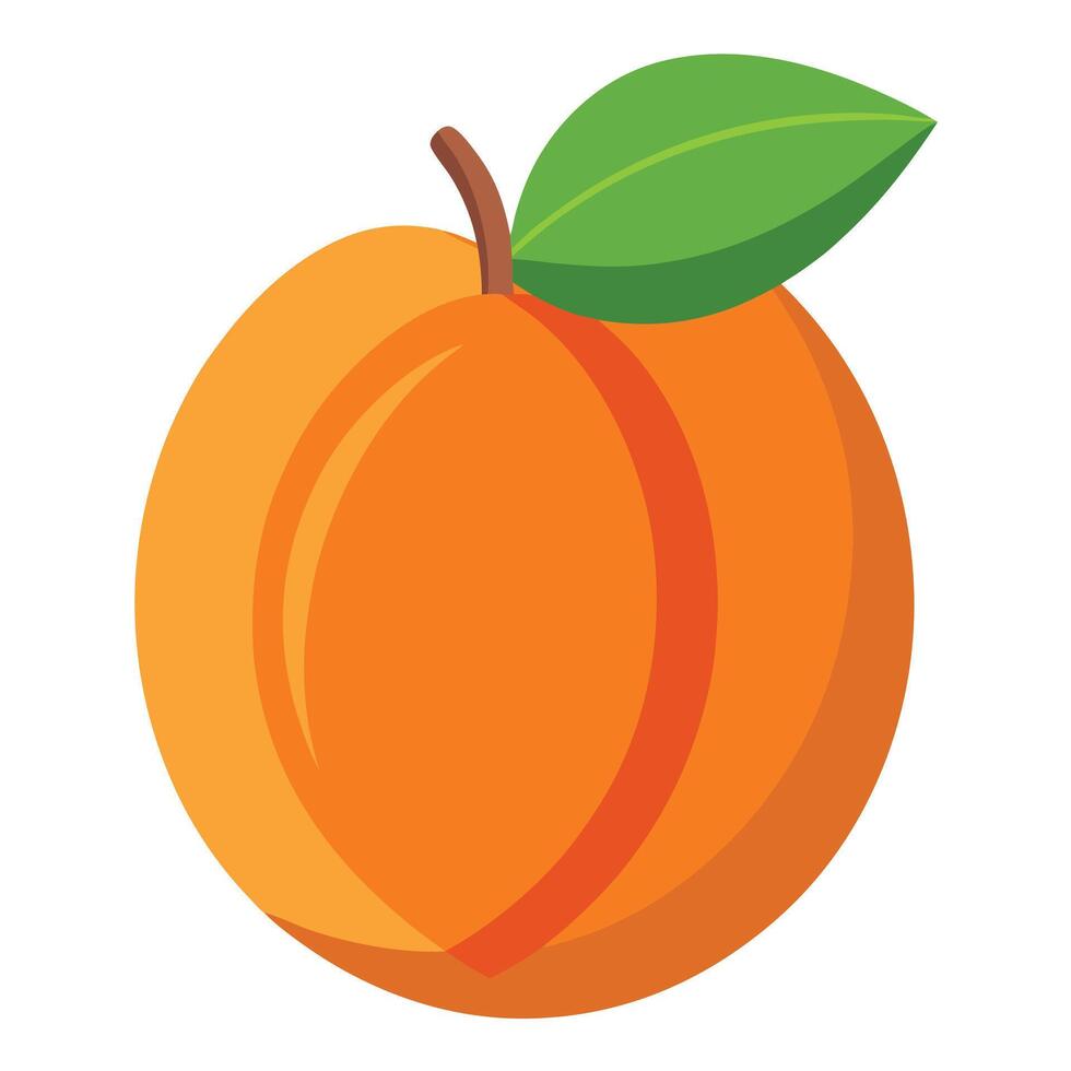 An orange fruit with a leaf on it vector