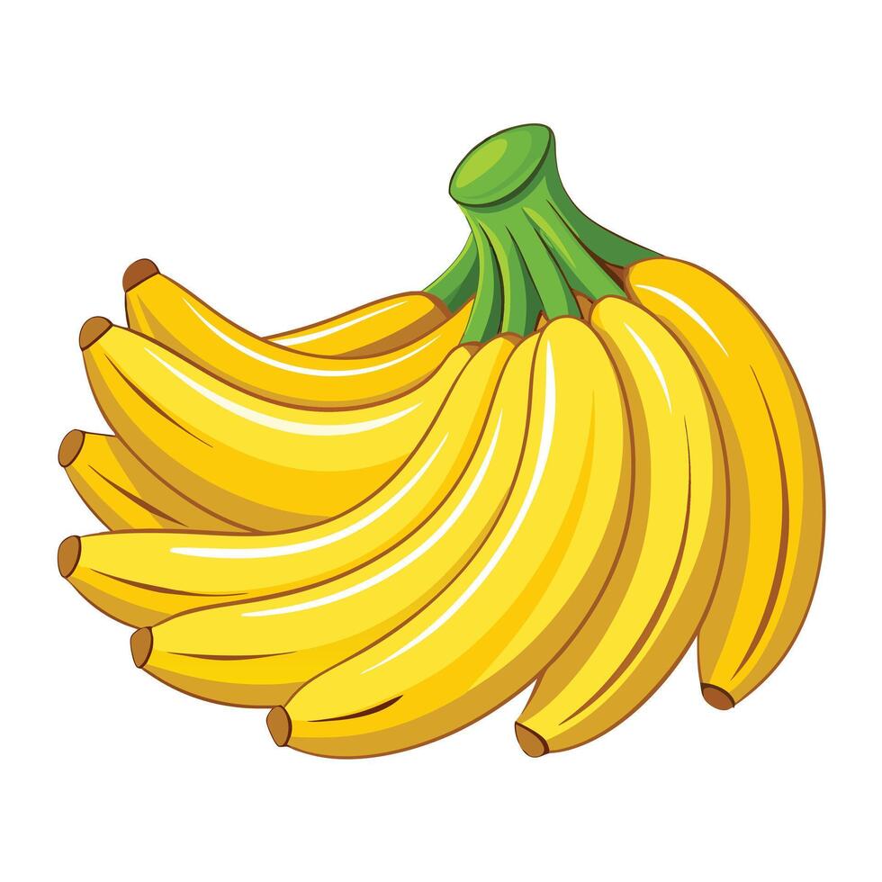 A bunch of bananas on a white background vector