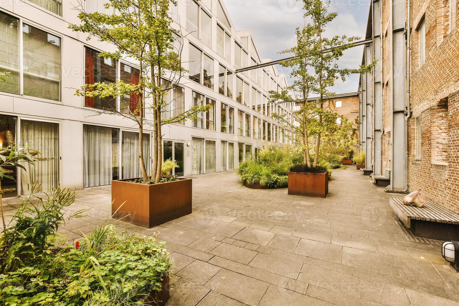 A courtyard with trees and plants in pots photo