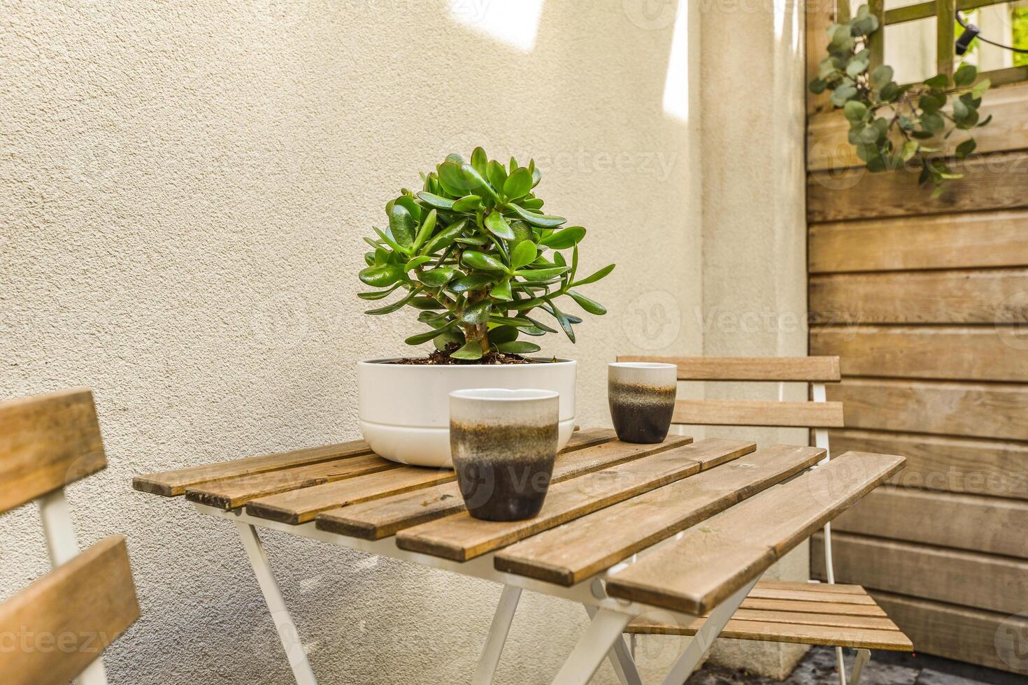 A table with two cups and a plant on it photo
