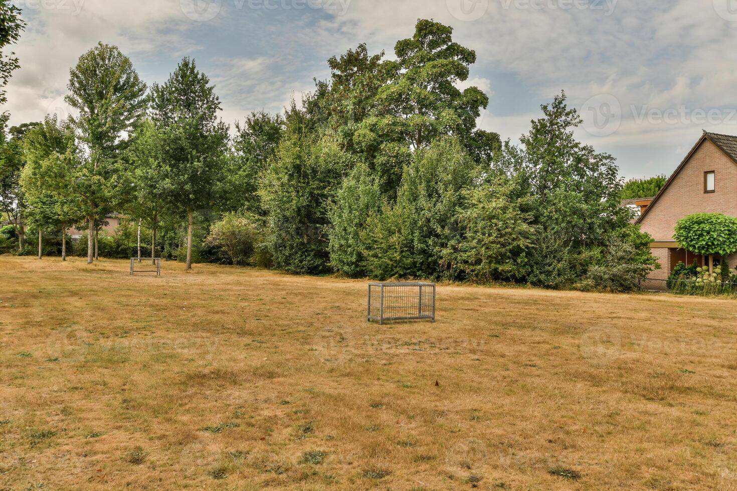 A grassy field photo