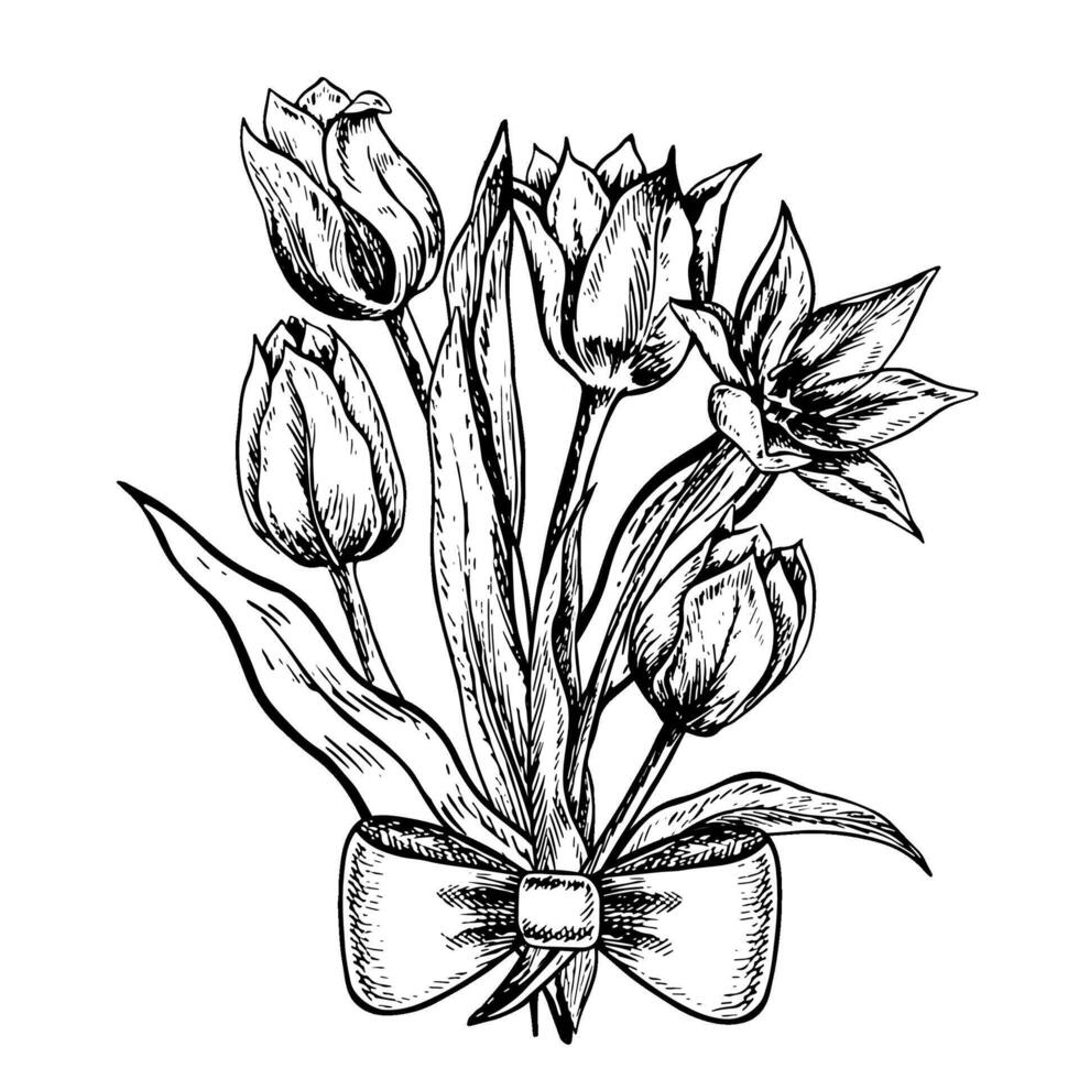 A bouquet of tulips tied with a bow. A black and white graphic illustration made by hand. A design element. Highlighted on a white background. For packages, labels and flyers, posters, banners. vector