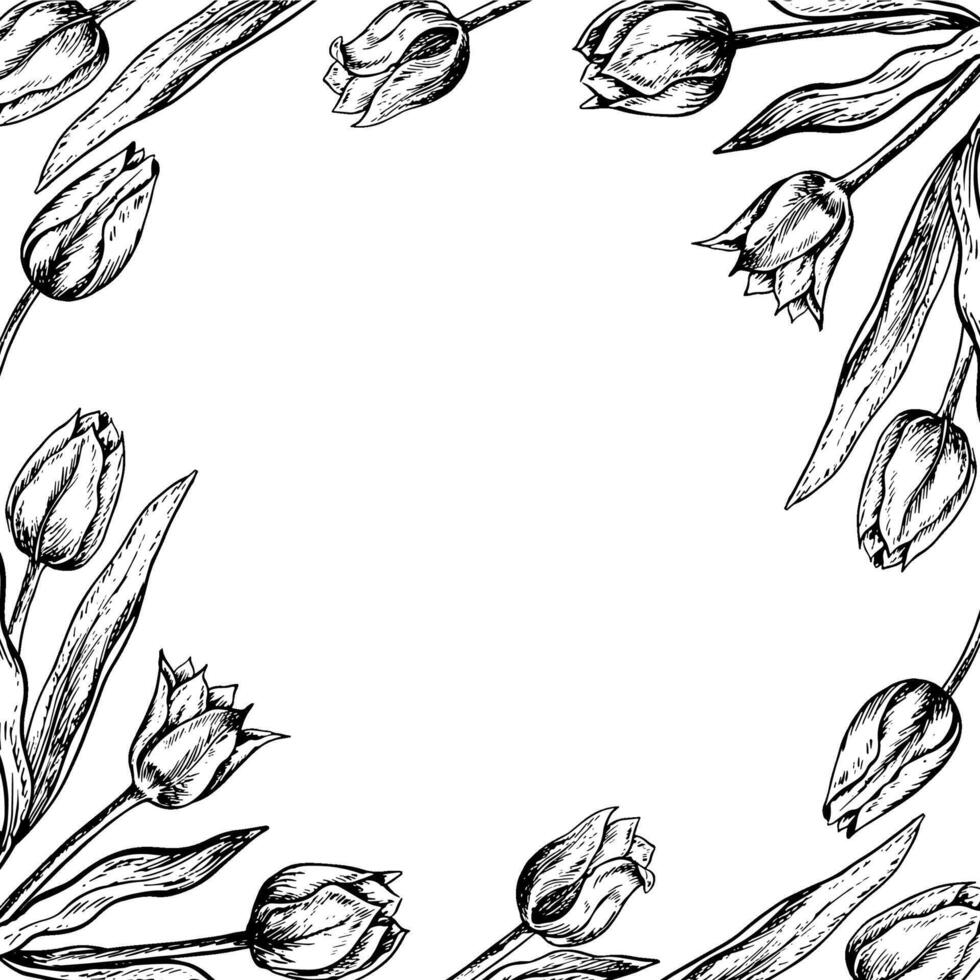 A bouquet of tulips. A black and white graphic illustration made by hand. A design element. Highlighted on a white background. For packages, labels and flyers, posters and banners. vector