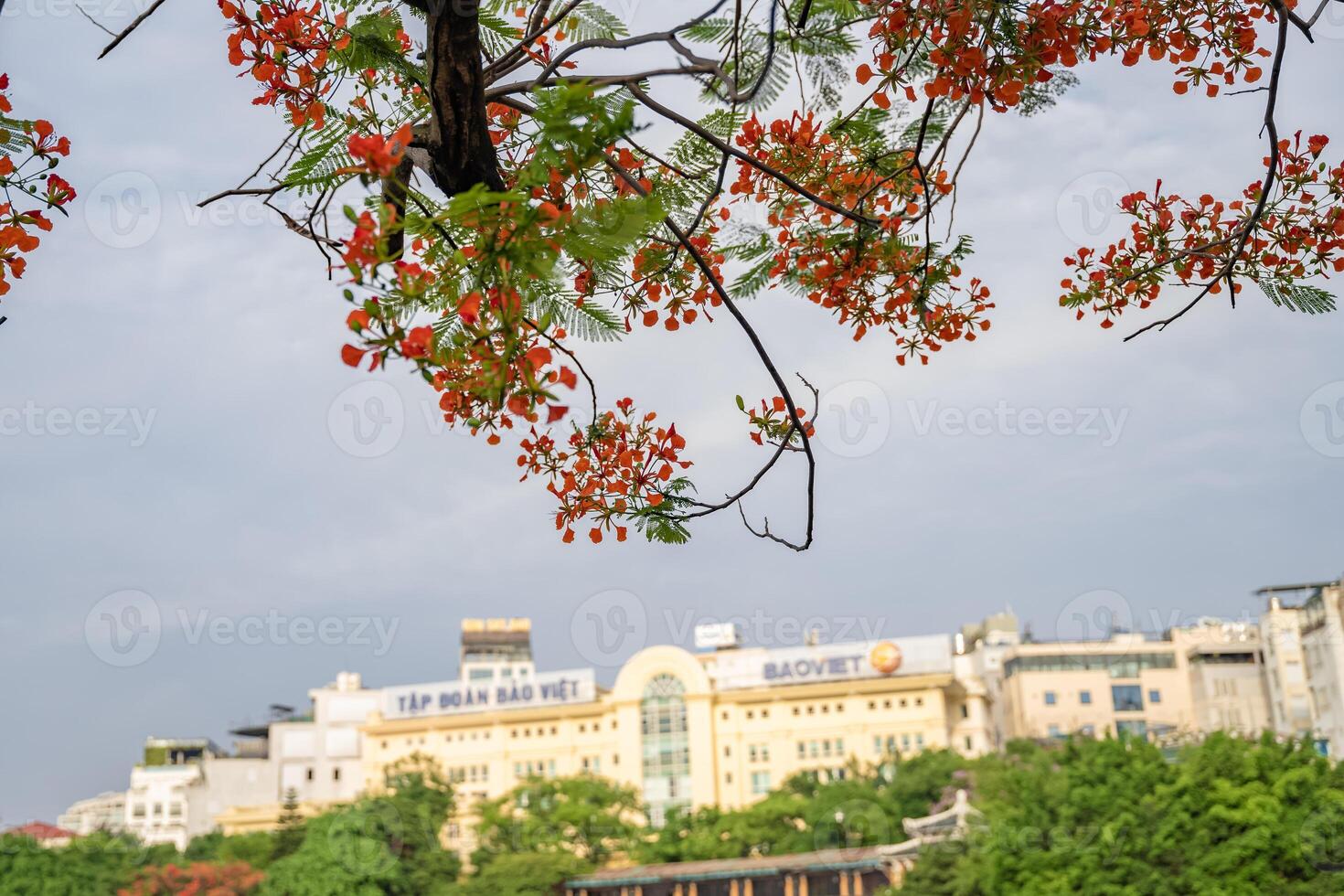 Hanoi, Vietnam - 26 June 2024 Hoan Kiem lake or Sword lake, Ho Guom in Hanoi, Vietnam with Turtle Tower, on clear day with blue sky and white clouds photo