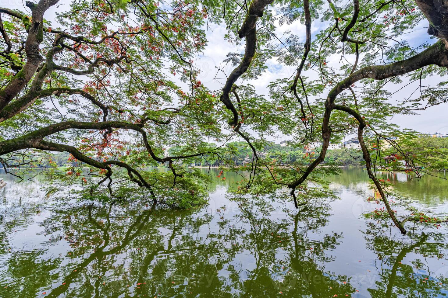 Hanoi, Vietnam - 26 June 2024 Hoan Kiem lake or Sword lake, Ho Guom in Hanoi, Vietnam with Turtle Tower, on clear day with blue sky and white clouds photo
