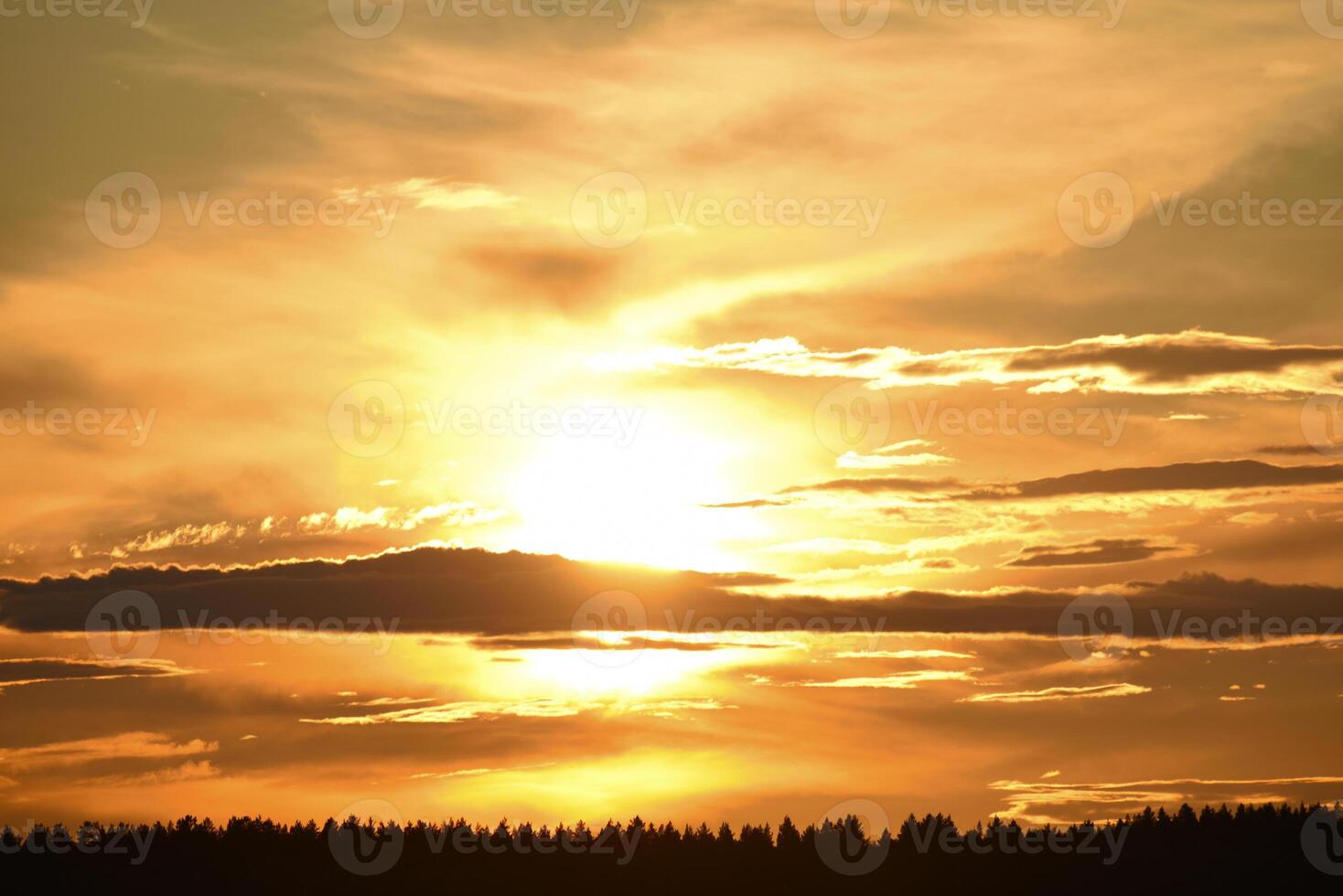 The setting sun on the background of the forest horizon. photo