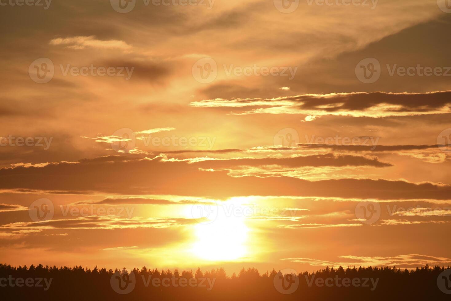 The setting sun on the background of the forest horizon. photo
