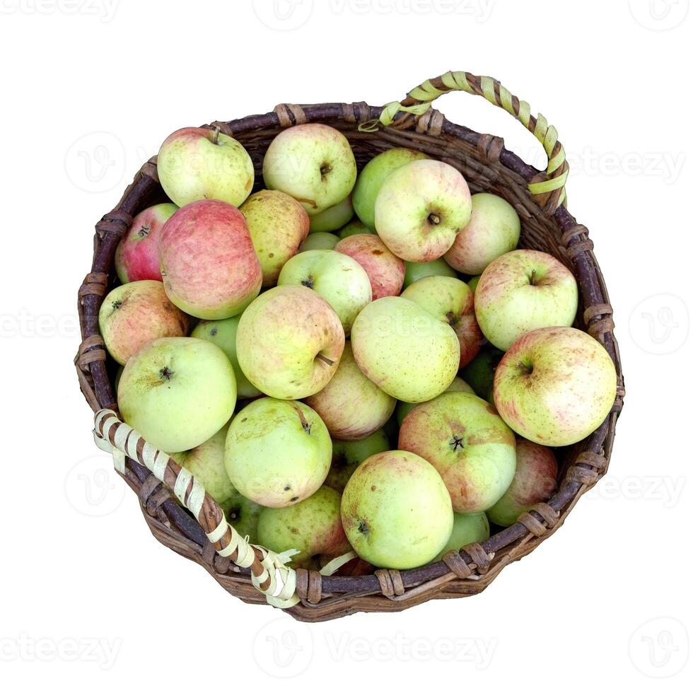 Wicker basket with two handles filled with ripe red-yellow apples - color photo on white background, top view, isolate for design