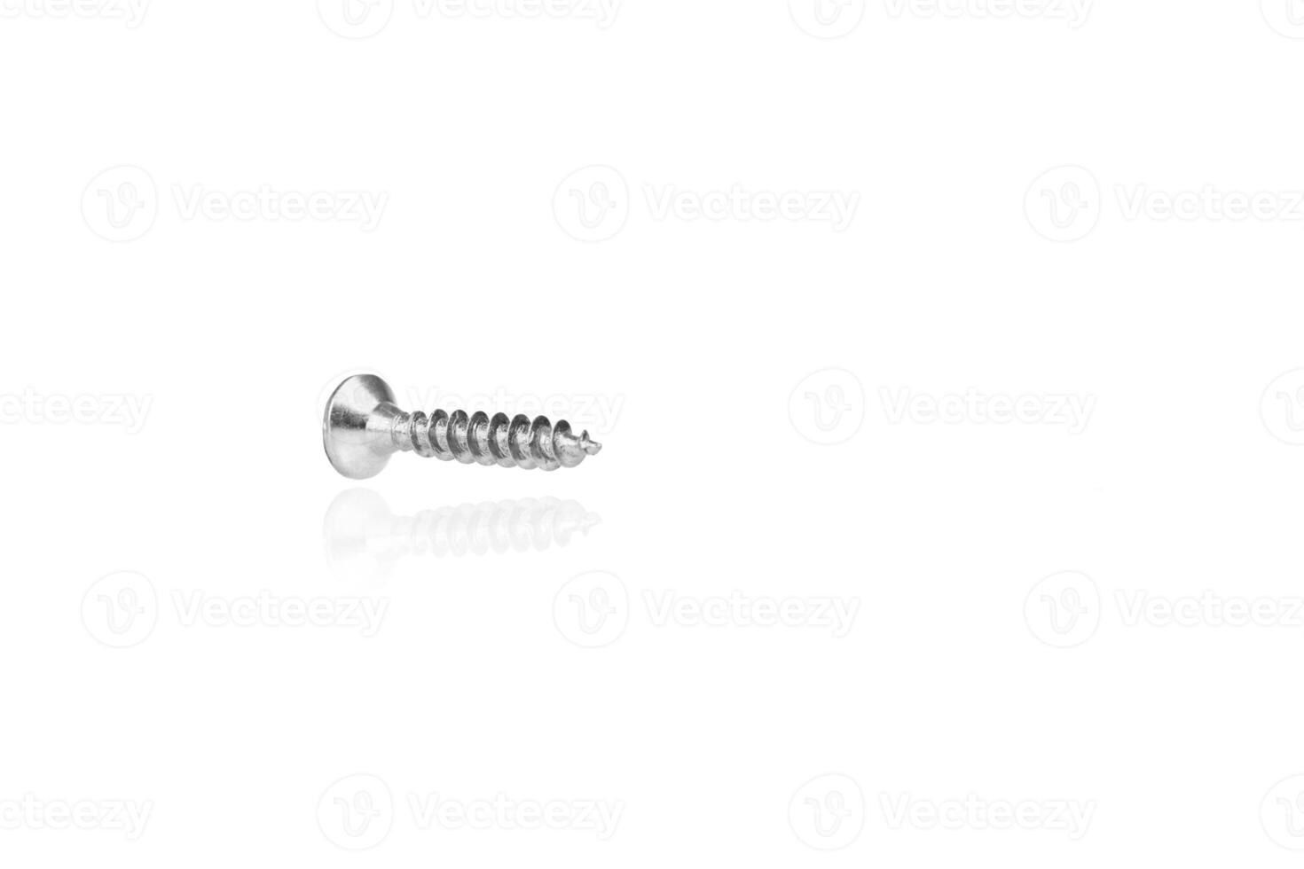 macro screw of silver color on a white background photo