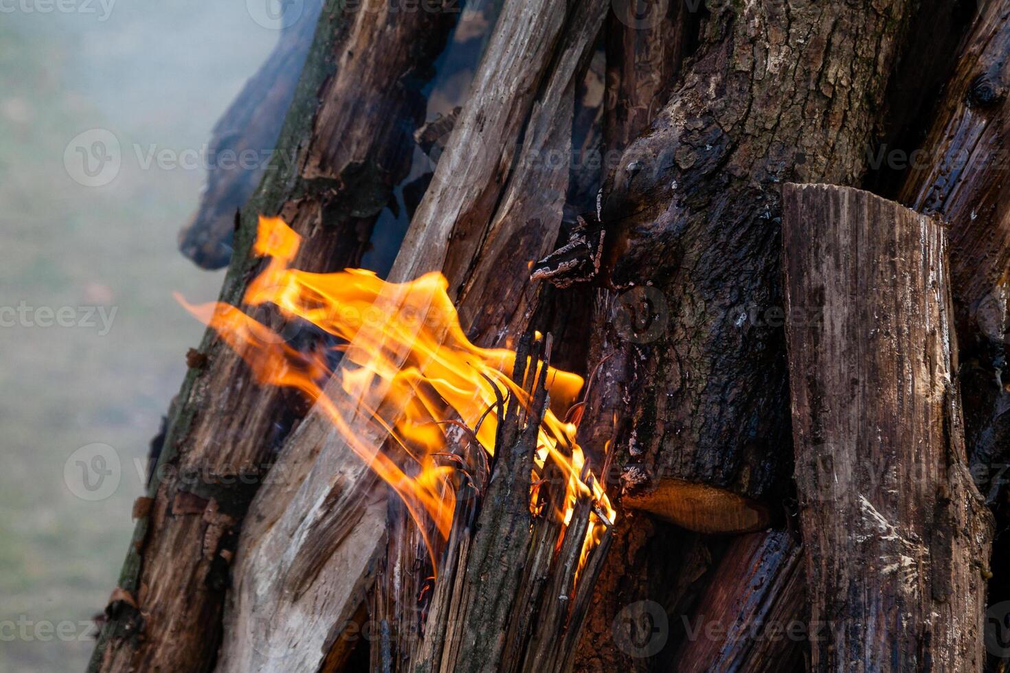 Beautiful fire flames on a campfire photo