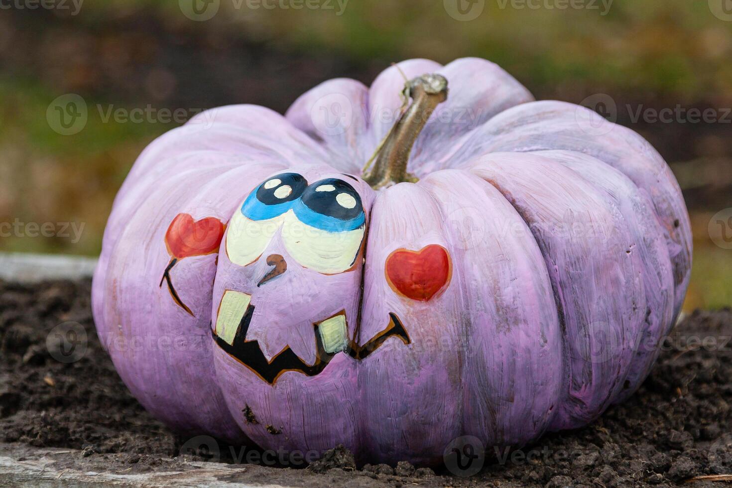 Beautiful pumpkins for halloween photo