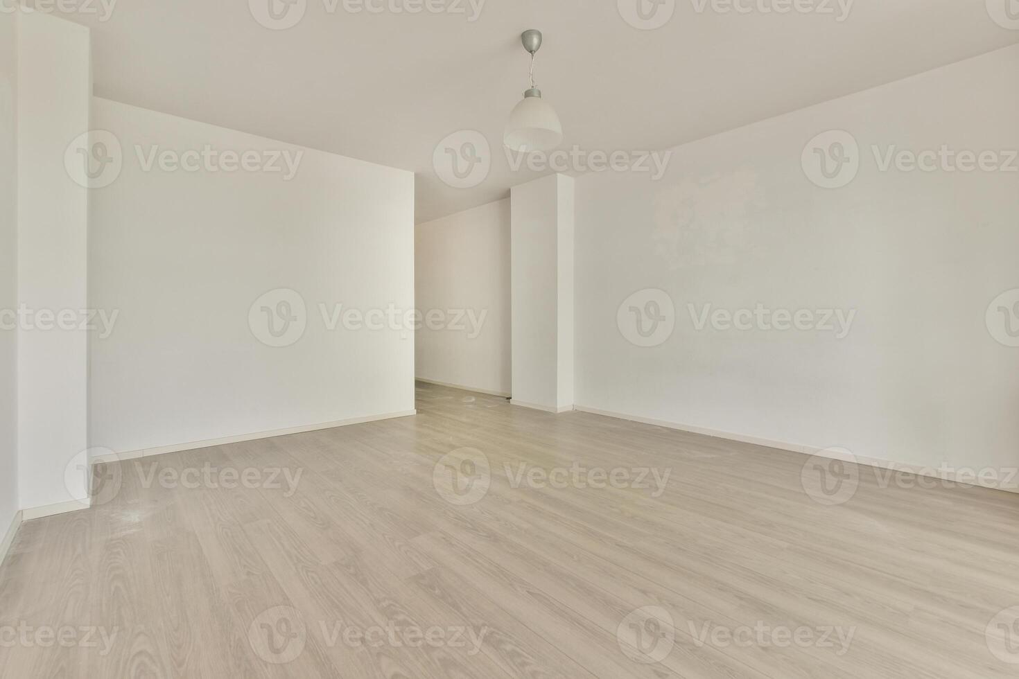 Empty room with white walls and wooden floors photo