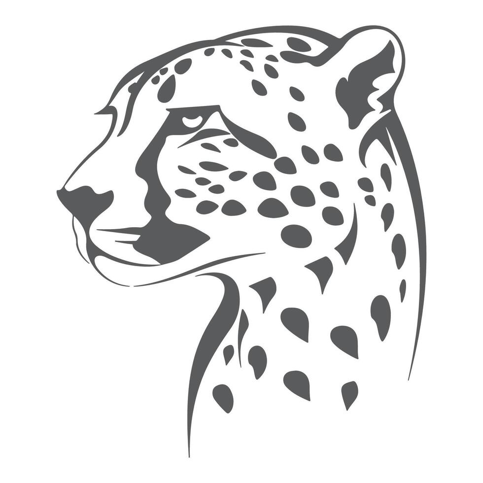 A cheetah head is shown in a black and white drawing vector