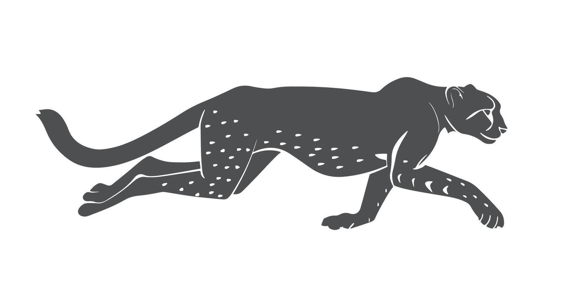 A cheetah running on a white background vector