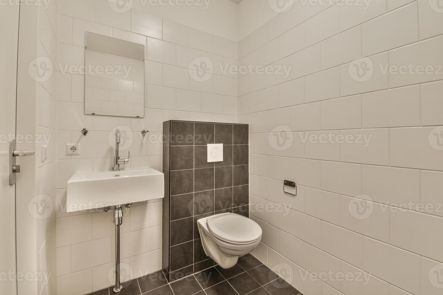 A bathroom with a toilet and sink photo
