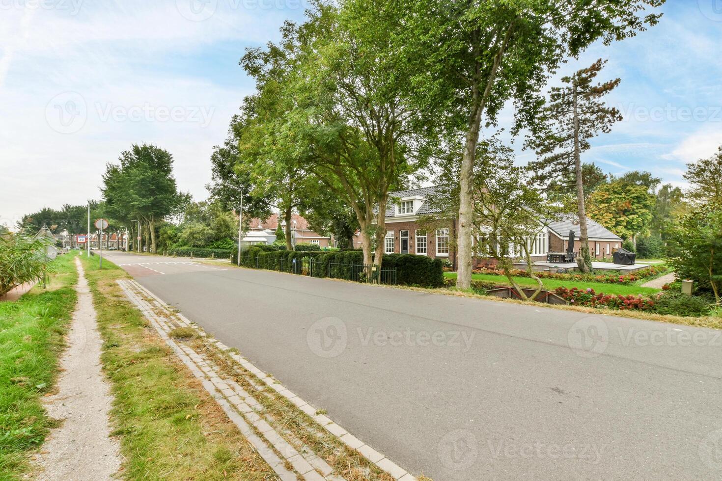 A road with a house on the left and a tree on the right photo