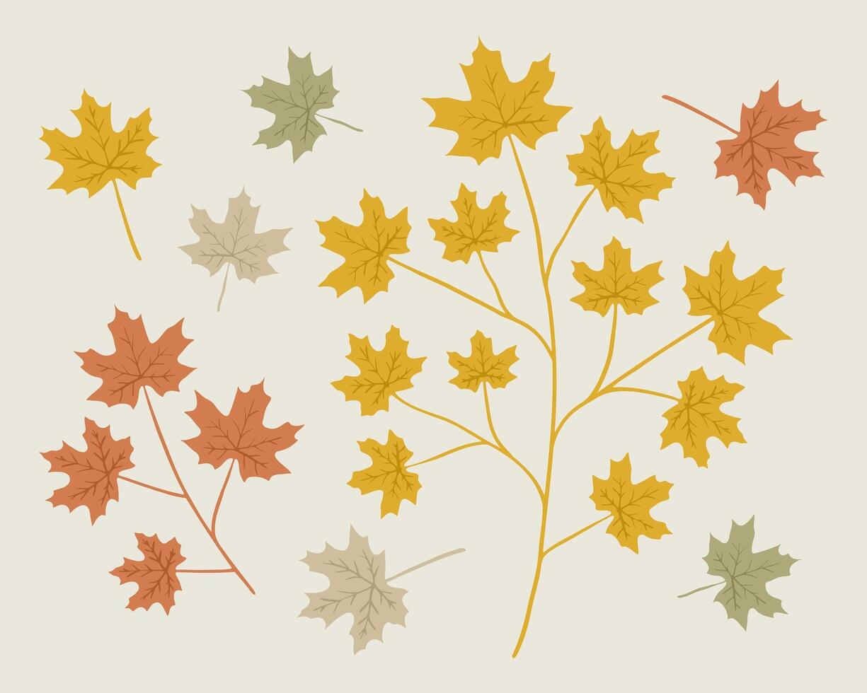 Maple leaf and branch illustration set vector
