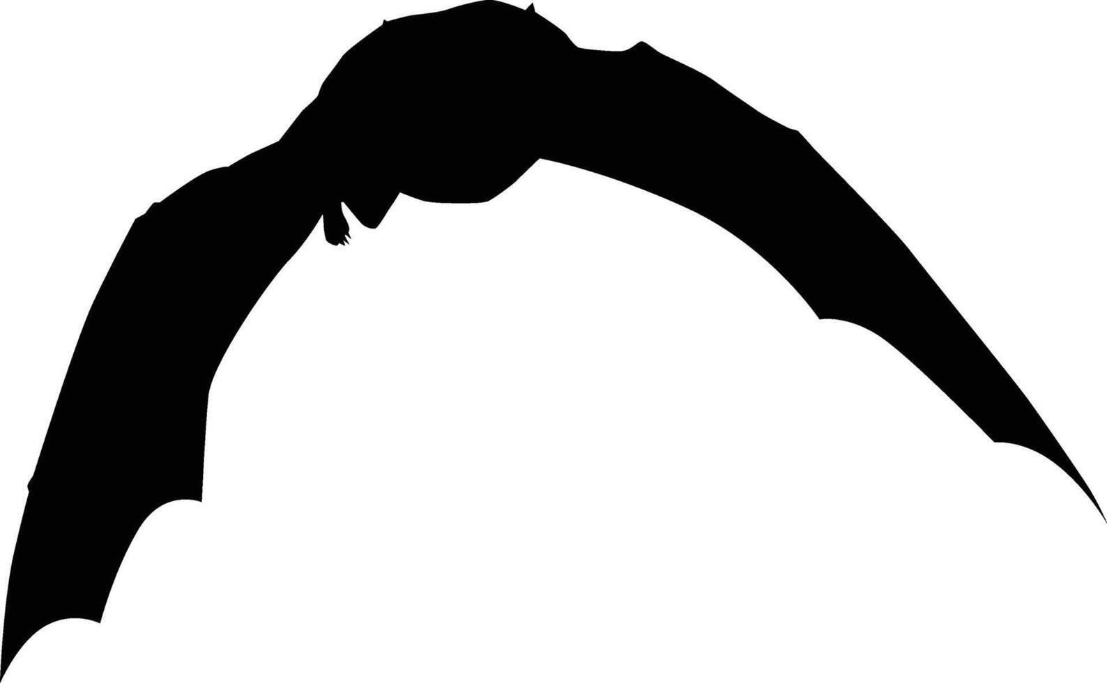 bat flying pose vector