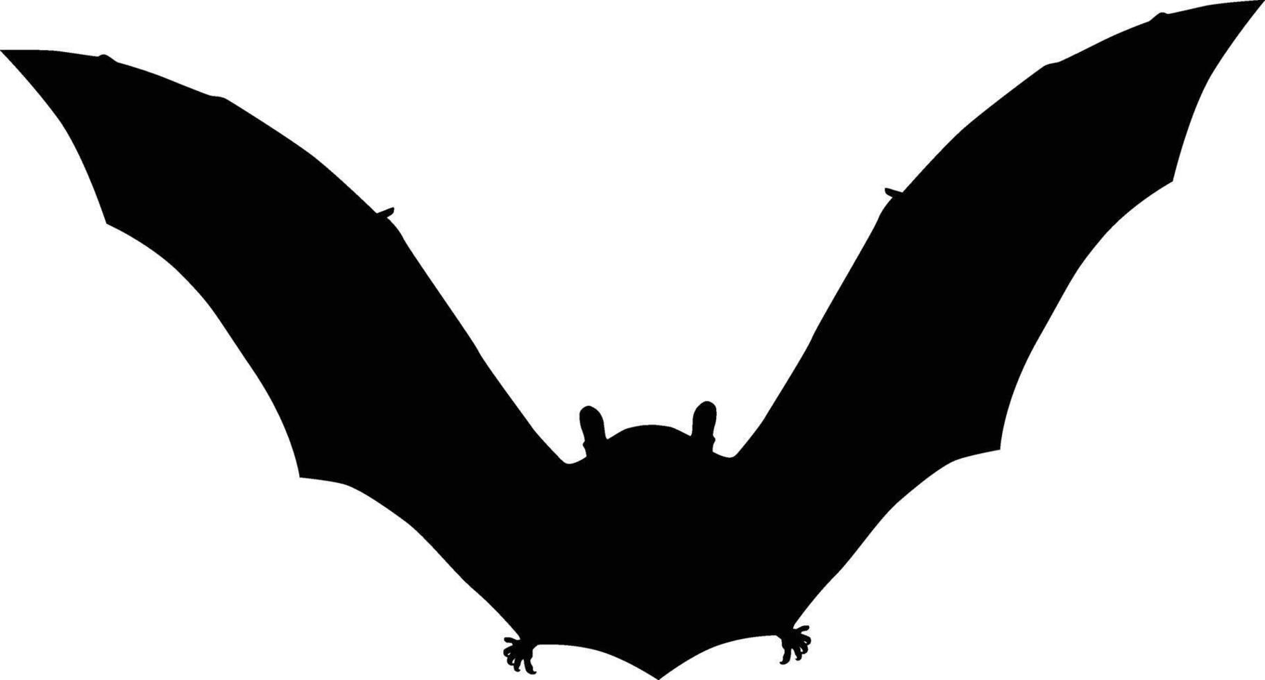 Flying bat silhouette vector