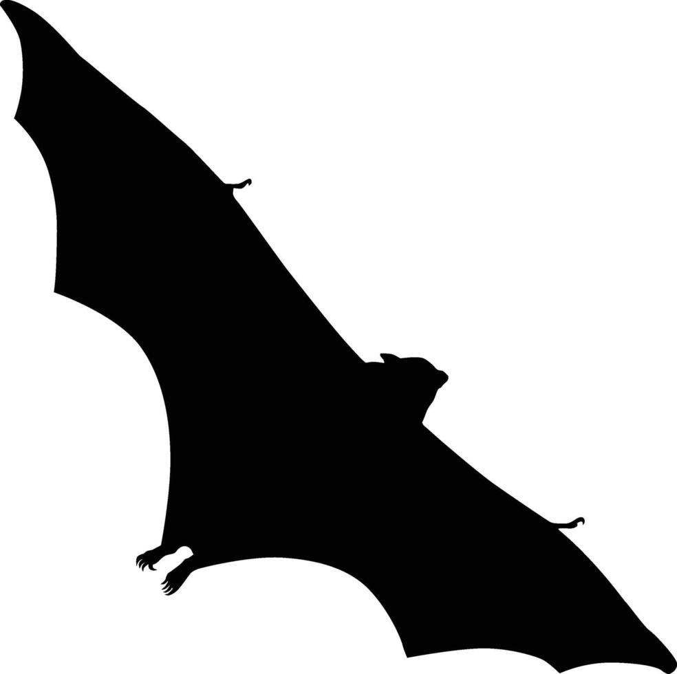 bat flying silhouette vector