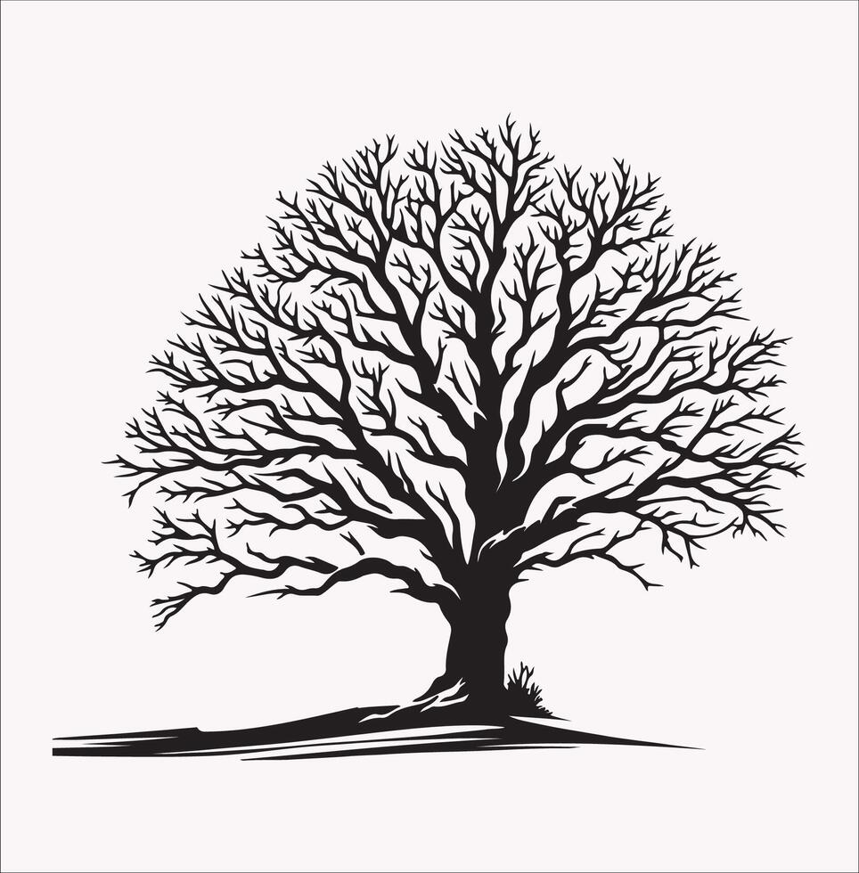 Winter Tree Silhouettes on a White Background vector