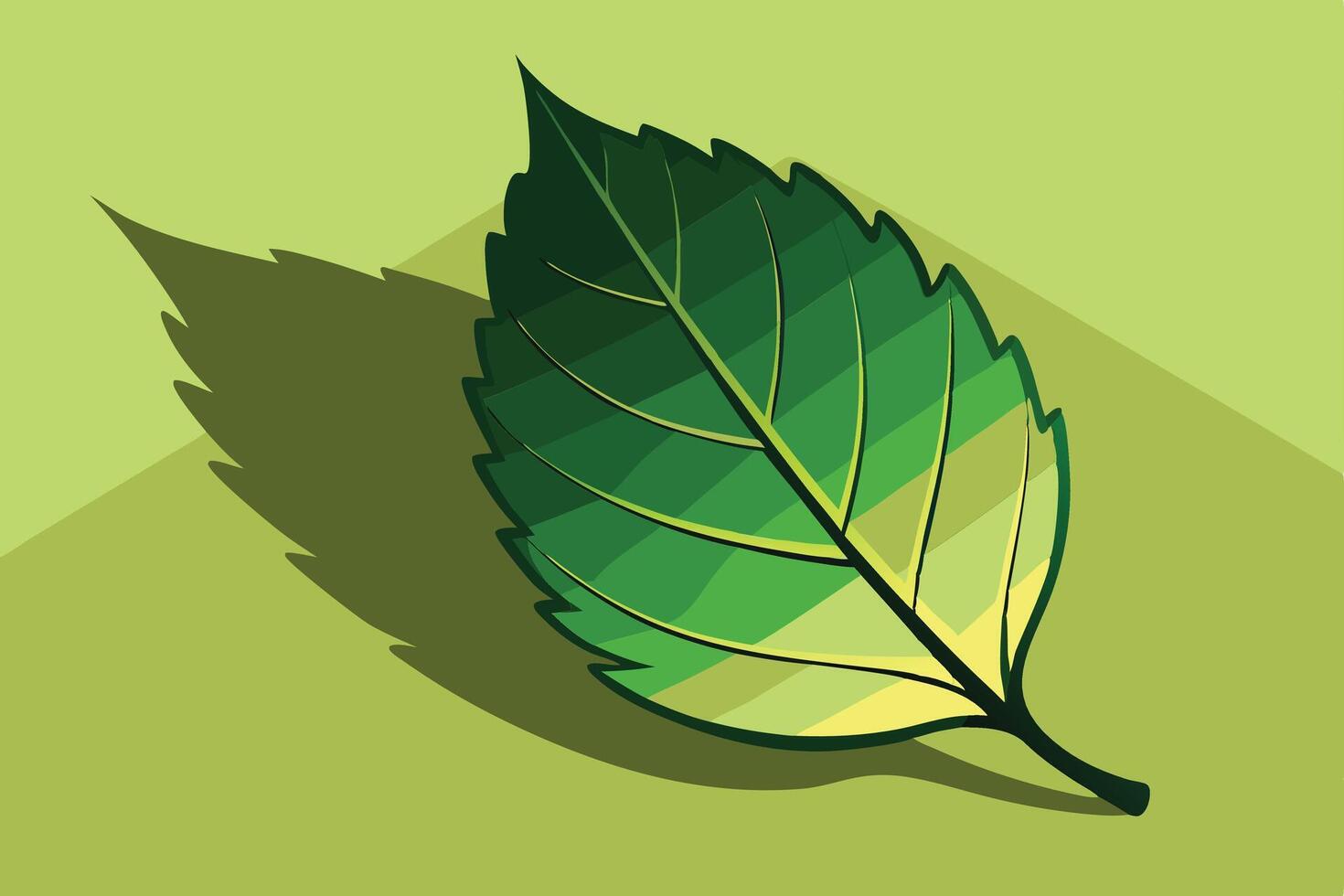 A green leaf on a yellow background vector