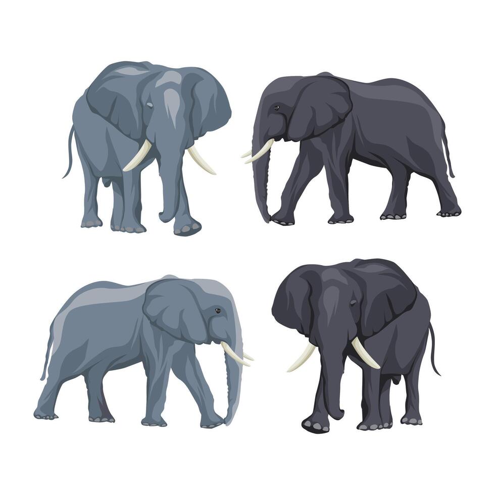 Illustration of a elephant animal bundle vector