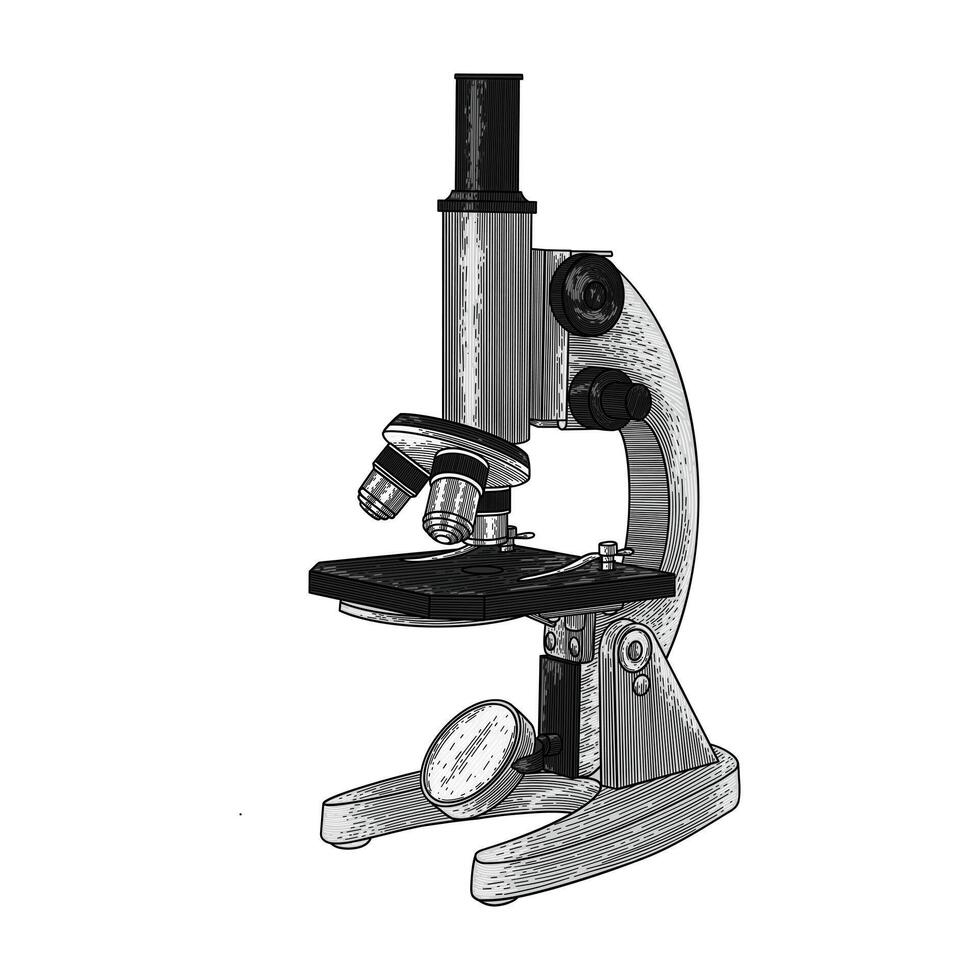 hand drawn microscope colored illustration vector