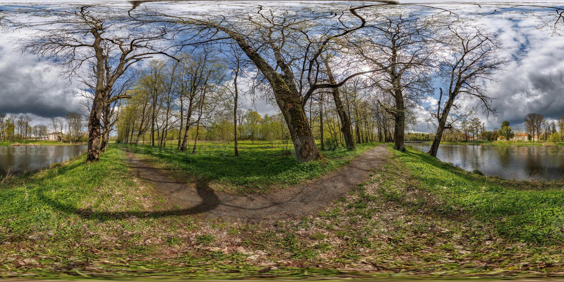 360 hdri panorama view on pedestrian walking path among poplar grove with clumsy branches near lake in full seamless spherical equirectangular projection ready VR AR content photo