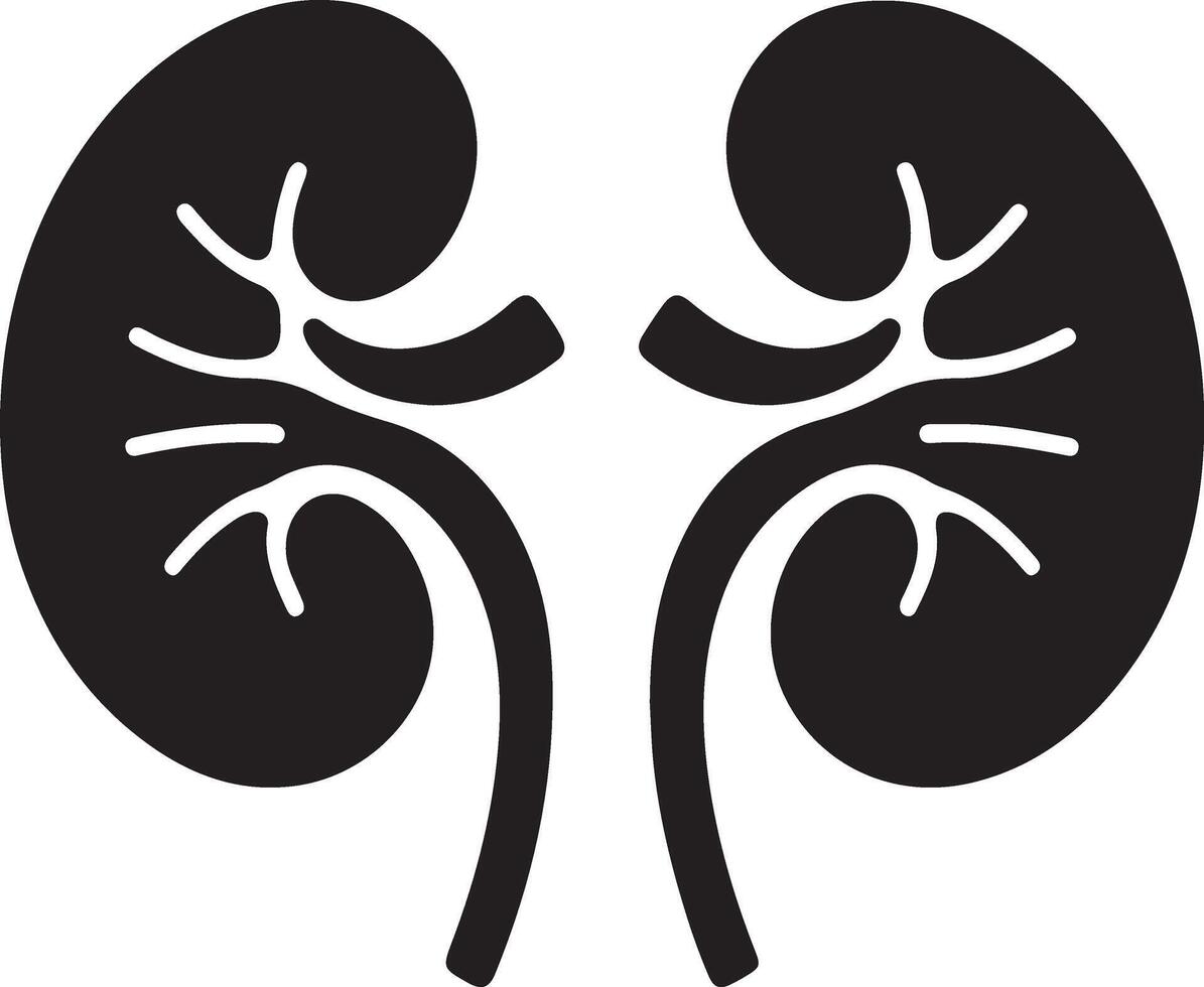 Creative Silhouette of Kidneys for Health Graphics vector