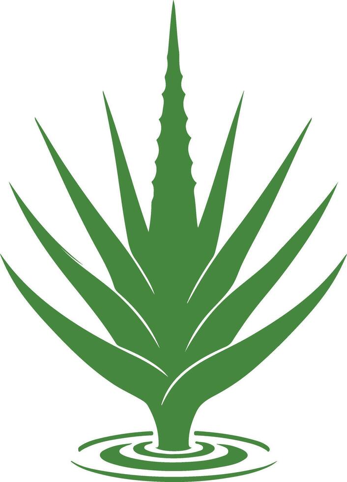 Aloe Vera Plant Silhouette Stock Illustrations vector