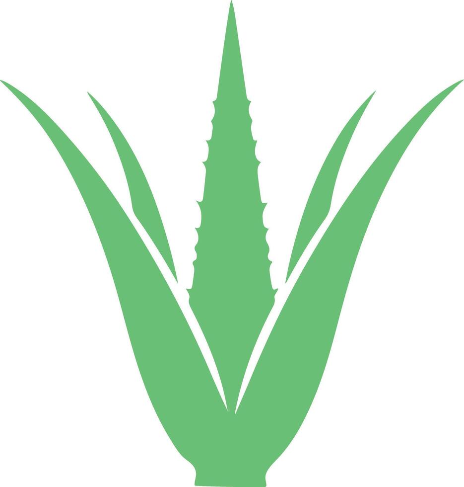 Aloe Vera Digital Clip Art vector