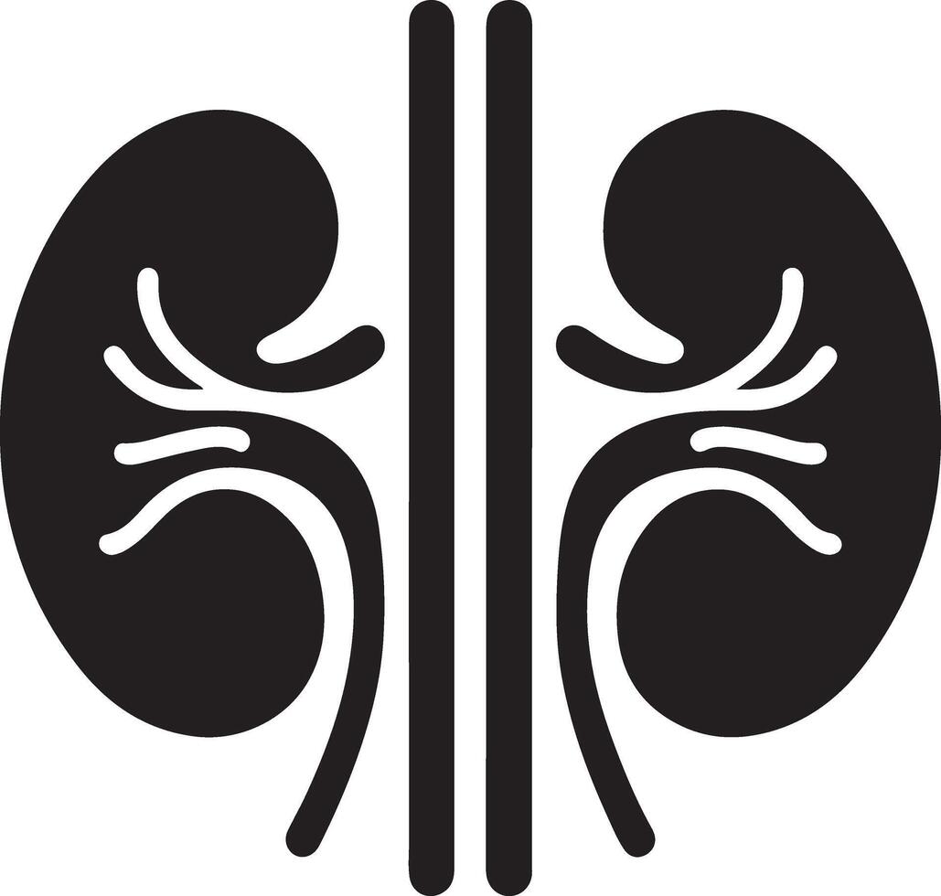 Kidneys Symbol Silhouette for Educational Use vector