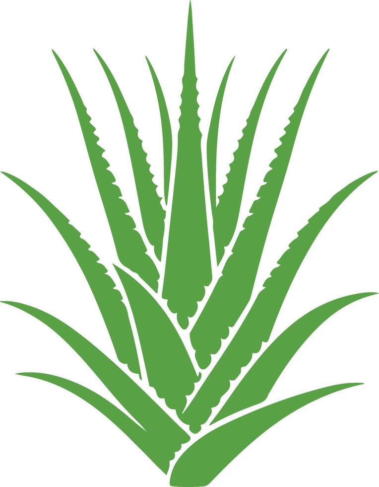 Aloe Plant Silhouette Clipart Free Stock Photo vector
