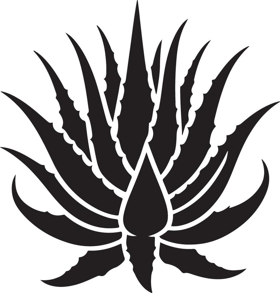 Aloe vera silhouette Images vector