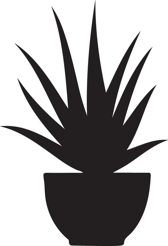 Aloe Vera Drawing Image vector