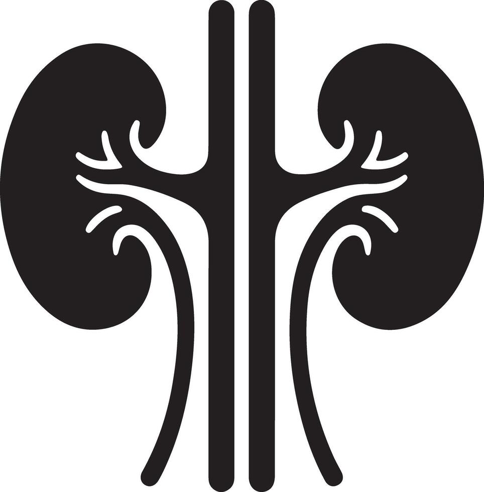 Kidneys Symbol Silhouette for Anatomy Illustrations vector