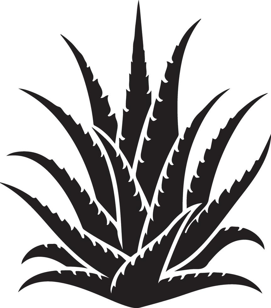 Aloe Vera Plant Art and Graphics image vector